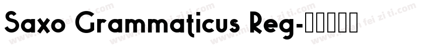 Saxo Grammaticus Reg字体转换